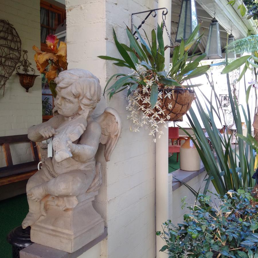 Bed and Breakfast 79 On Ridge Pietermaritzburg Esterno foto